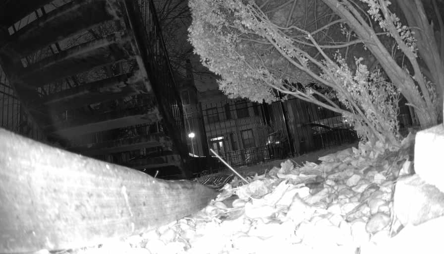 Reolink Camera Two_01_Reolink Home Hub One_20250112050859.jpg